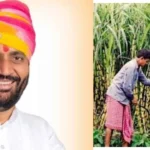 Haryana News: गन्ना किसानों की लगी लॉटरी, सरकार ने इतने रुपए बढ़ाई प्रोत्साहन राशि गन्ना किसानों की लगी लॉटरी, सरकार ने इतने रुपए बढ़ाई प्रोत्साहन राशि