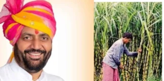 Haryana News: गन्ना किसानों की लगी लॉटरी, सरकार ने इतने रुपए बढ़ाई प्रोत्साहन राशि गन्ना किसानों की लगी लॉटरी, सरकार ने इतने रुपए बढ़ाई प्रोत्साहन राशि