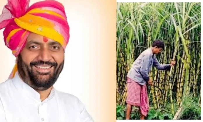 गन्ना किसानों की लगी लॉटरी, सरकार ने इतने रुपए बढ़ाई प्रोत्साहन राशि
