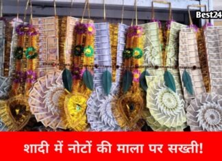Haryana News: शादी में नोटों की मालाओं पर सख्ती की तैयारी, अब बताना होगा पैसों का पूरा हिसाब शादी में नोटों की मालाओं पर सख्ती की तैयारी