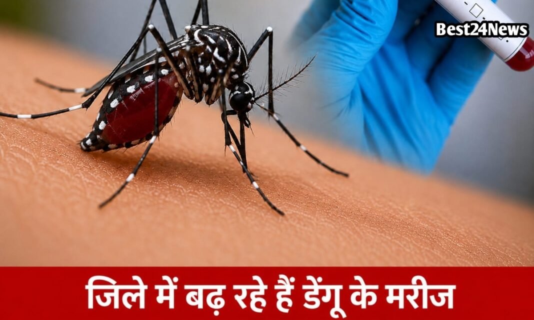 जिले में तेजी से बढ़ रहे हैं डेंगू के मरीज, स्वास्थ्य विभाग में जारी किया ये बड़ा अलर्ट