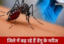 जिले में तेजी से बढ़ रहे हैं डेंगू के मरीज, स्वास्थ्य विभाग में जारी किया ये बड़ा अलर्ट