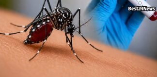Rewari Dengue Alert: जिले में तेजी से बढ़ रहे हैं डेंगू के मरीज, स्वास्थ्य विभाग में जारी किया ये बड़ा अलर्ट जिले में तेजी से बढ़ रहे हैं डेंगू के मरीज, स्वास्थ्य विभाग में जारी किया ये बड़ा अलर्ट