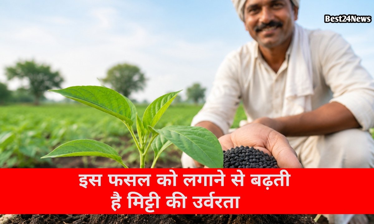 सिर्फ 50 दिन में बढ़ेगी खेत की उर्वरता, किसान भाई बनेंगे मालामाल, जानें कैसे