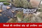 Dharuhera News: भिवाड़ी की कंपनियां छोड़ रहीं अपशिष्ट जल, केंद्रीय प्रदूषण नियंत्रण बोर्ड तक पहुंची शिकायत