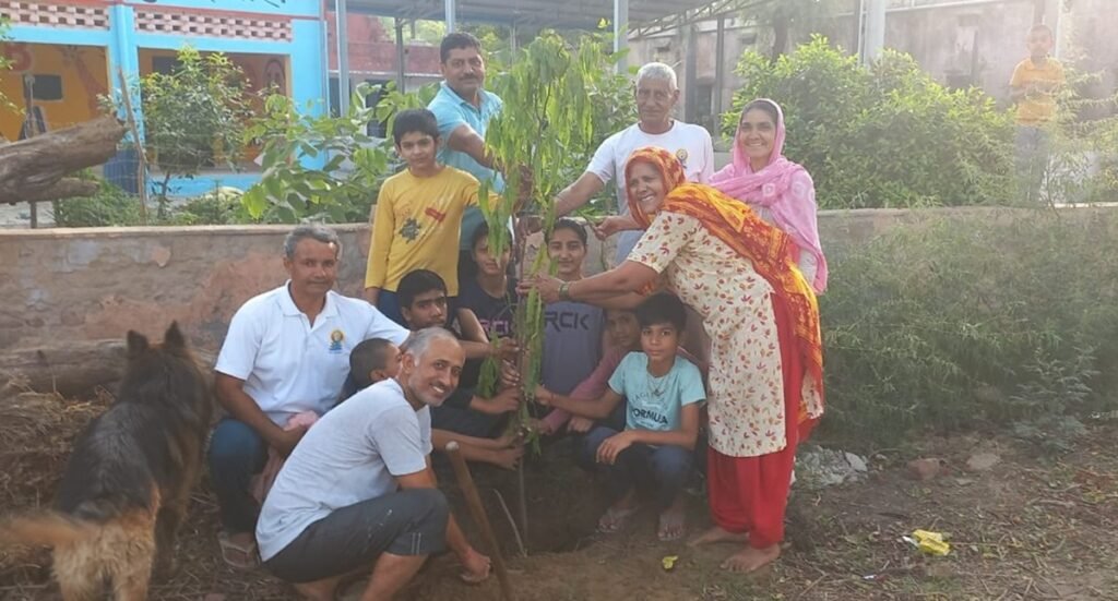 Dharuhera News: ग्राम विकास मंडल ने डू्ंगरवास में किया पौधारोपण