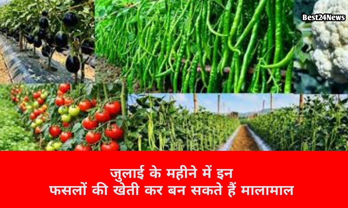 जुलाई में इन फसलों की खेती कर बन सकते हैं मालामाल, 2 महीने में होगी लाखों की कमाई
