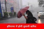 रेवाड़ी सहित इन 16 जिलों में भारी बारिश का अलर्ट