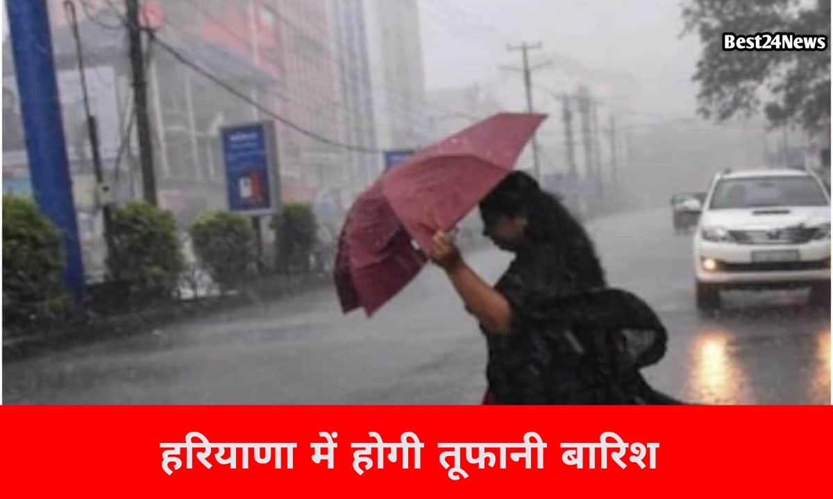 रेवाड़ी सहित इन 16 जिलों में भारी बारिश का अलर्ट