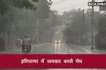 अचानक बदला मौसम! कई जिलों में हुई तूफानी बारिश, जानें कल कैसा रहेगा मौसम