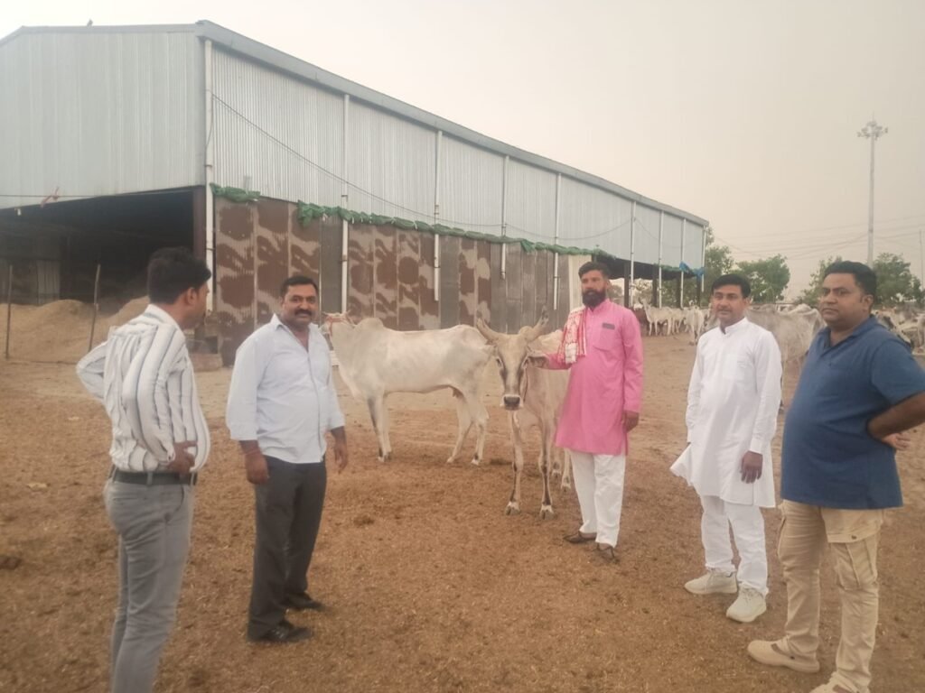 रेवाड़ी गौ सेवा प्रमुख ने नंदू गोशाला का किया औचक निरीक्षण 22 रेवाड़ी गौ सेवा प्रमुख ने नंदू गोशाला का किया औचक निरीक्षण