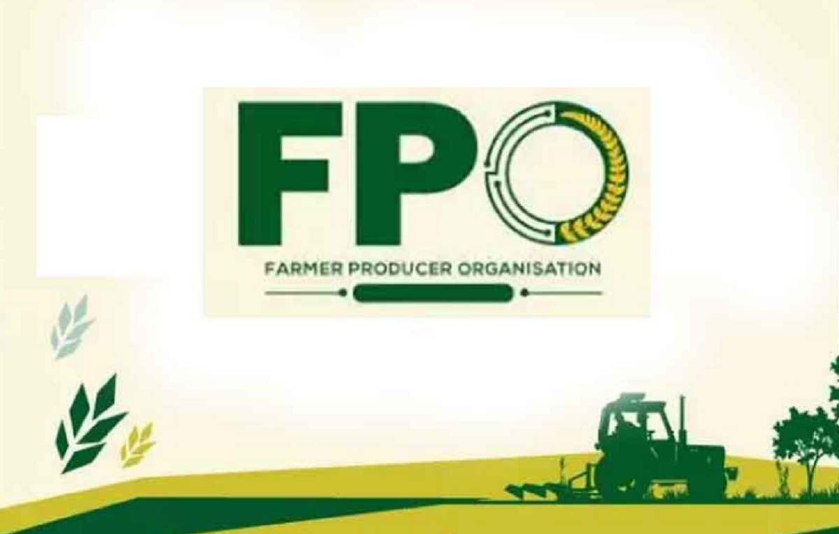 PFO 2