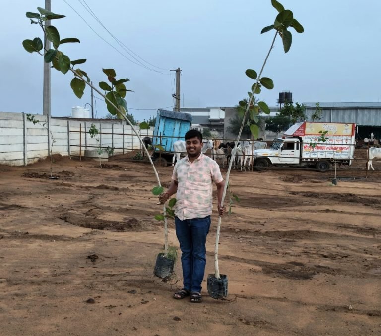 Dharuhera Nandu Gaushala Plantation: निर्जला एकादशी पर नंदू गोशाला में पर्यावरण संरक्षण की अनूठी पहल