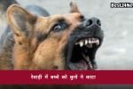 जिले में आवारा कुत्तों का आतंक, मासूम को दौड़ाकर काटा 