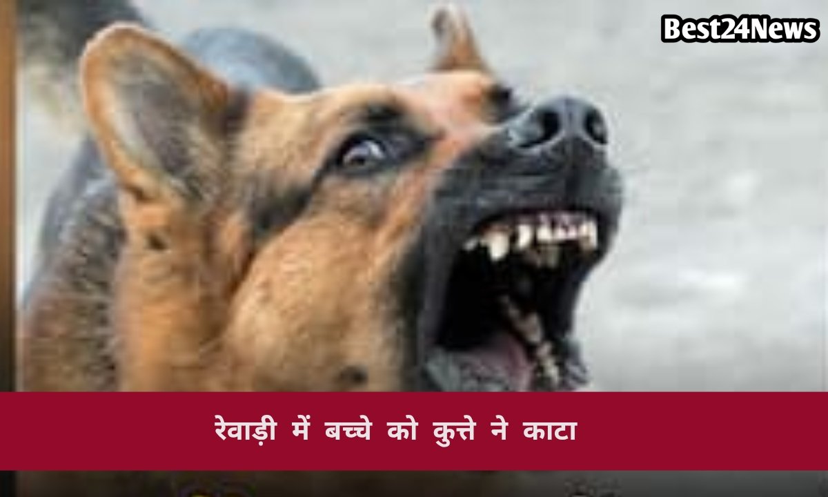 जिले में आवारा कुत्तों का आतंक, मासूम को दौड़ाकर काटा 