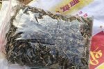 धारूहेड़ा: पुलिस ने टाउन पार्क में गांजा बेचने आए आरोपित को किया तथा उसके पास से 82 ग्राम गांजा