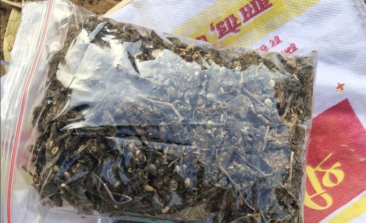 धारूहेड़ा: पुलिस ने टाउन पार्क में गांजा बेचने आए आरोपित को किया तथा उसके पास से 82 ग्राम गांजा
