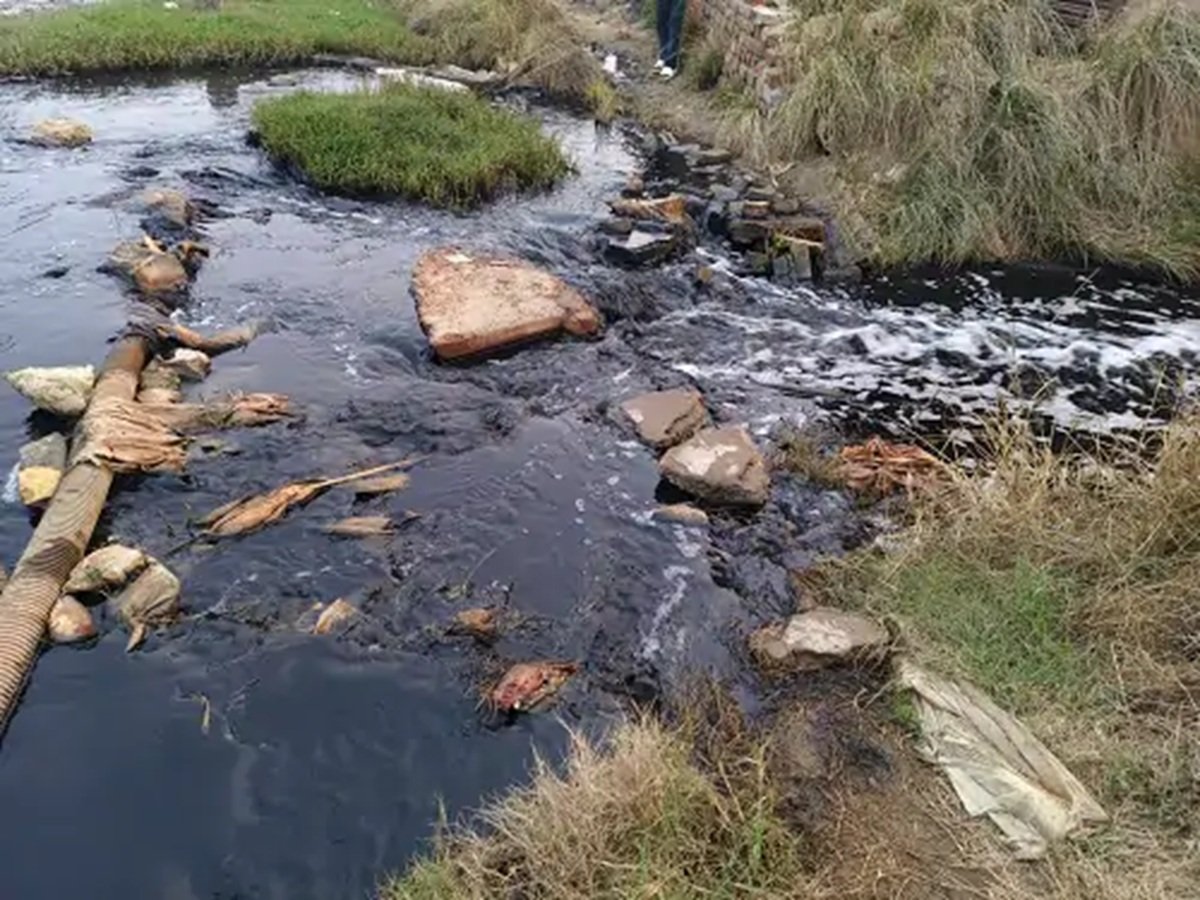 Dharuhera News: भिवाड़ी की कंपनियां छोड़ रहीं अपशिष्ट जल, केंद्रीय प्रदूषण नियंत्रण बोर्ड तक पहुंची शिकायत