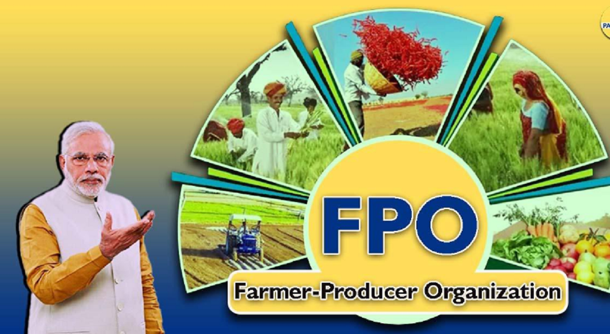 PFO 2
