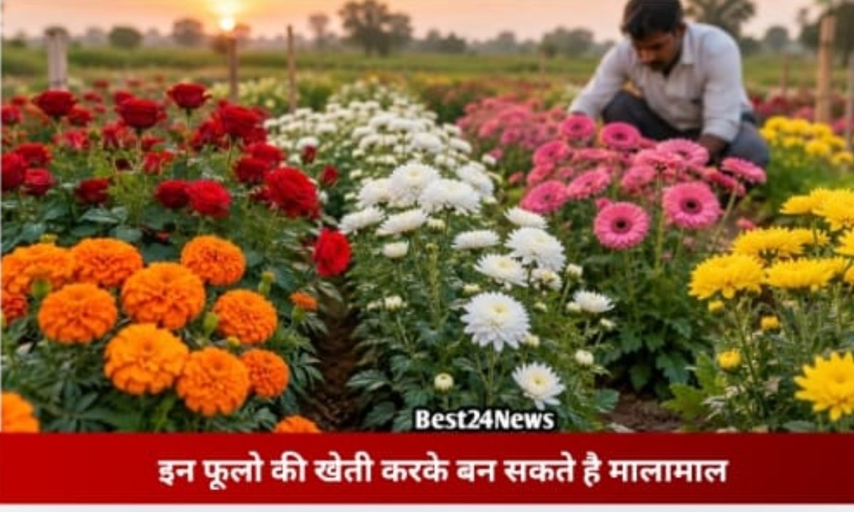 इन 5 फूलों की खेती बदल सकती है किसानों की आय
