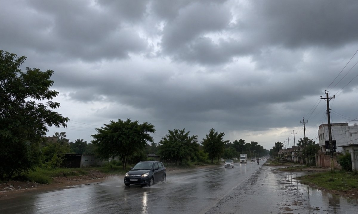 हरियाणा में इस बार मानसून दिखा सकता है दम