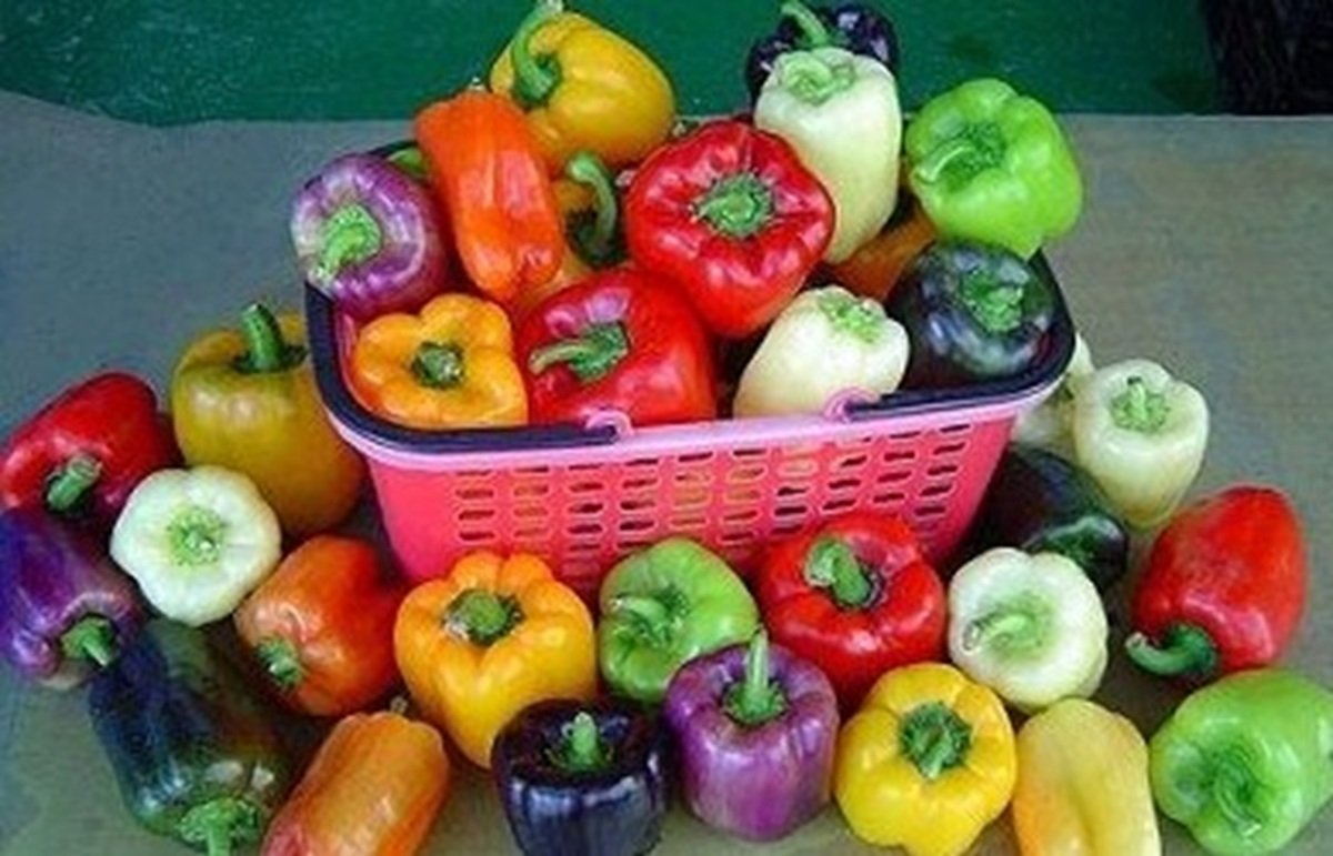 Best Farming : बारिश के मौसम में करें इन 5 फसलों की खेती