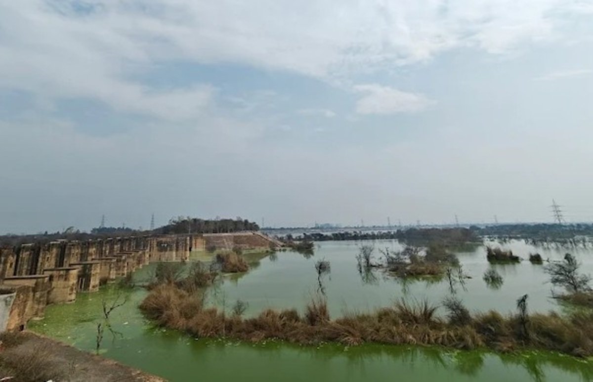धारूहेड़ा: मसानी बैराज में जमा काला व गंदा पानी