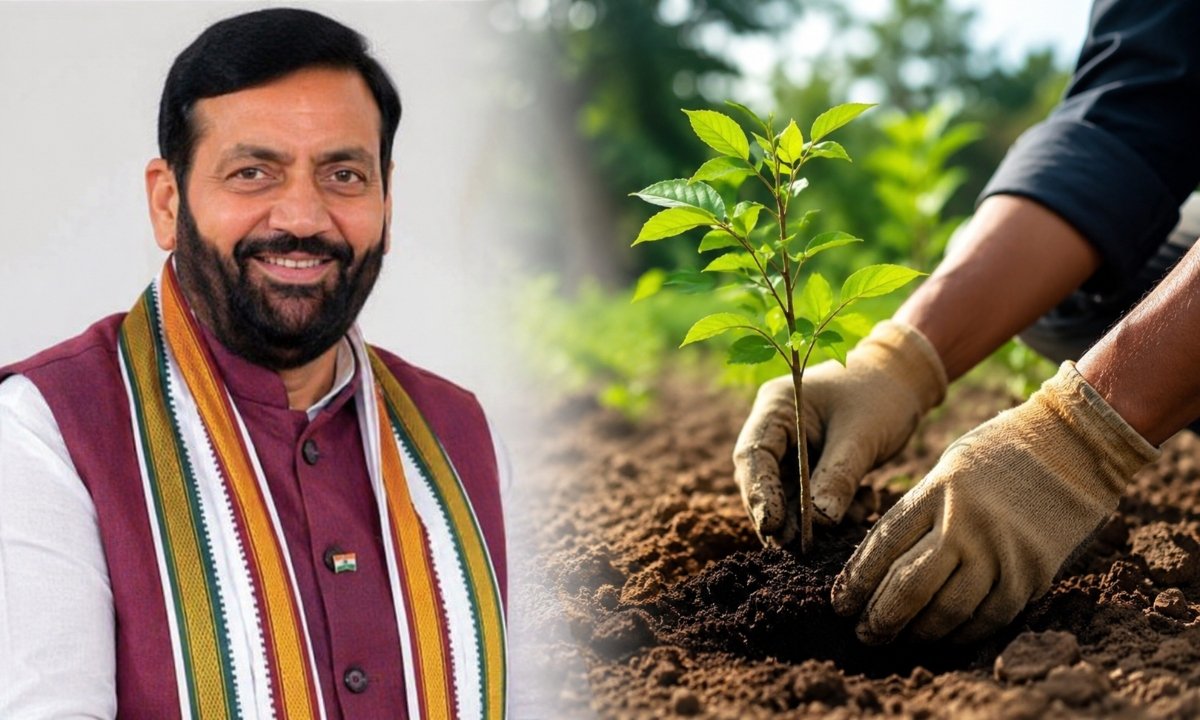 हरियाणा में पौधे लगायो, पैसे कमाओ