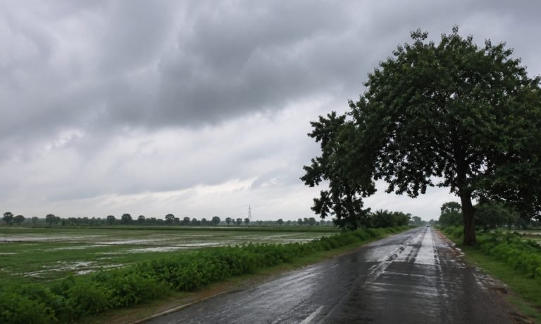 बादलों ने हरियाणा में डाला डेरा, आज रेवाड़ी से अंबाला तक होगी तेज बारिश