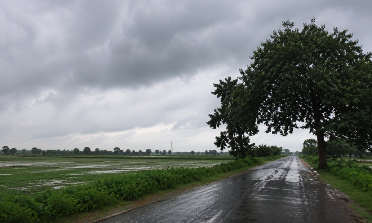 बादलों ने हरियाणा में डाला डेरा, आज रेवाड़ी से अंबाला तक होगी तेज बारिश