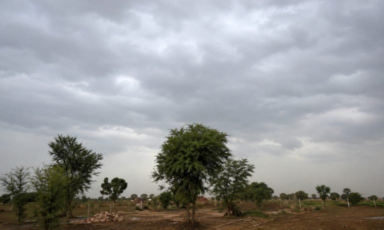 हरियाणा में कमजोर पड़ता मानसून बना चिंता की वजह, कई जिलों में बारिश का लंबा इंतजार