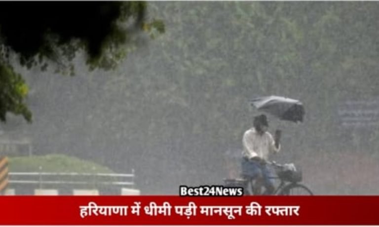 Haryana Monsoon Update: राज्य में शुष्क पड़ा मानसून, कई जिलों में उमस बढ़ी , इन जिलों में तूफानी बारिश का अलर्ट