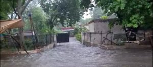 हरियाणा में पश्चिमी विक्षोभ एक्टिव, 9 जिलों में बारिश का अलर्ट जारी