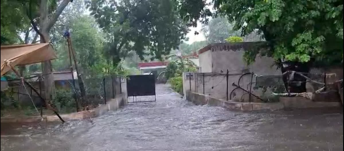क्यों हर साल मानसून में डूब जाती है रेवाड़ी