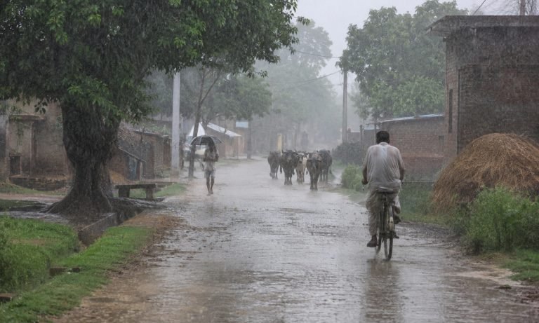 हरियाणा में मौसम लेने वाला है नया मोड़, इन जिलों में भारी बारिश का अलर्ट, देखिए ताजा वेदर अपडेट