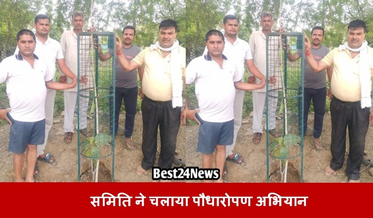 जनहित कल्याण समिति ने धारूहेड़ा में चलाया पौधारोपण अभियान