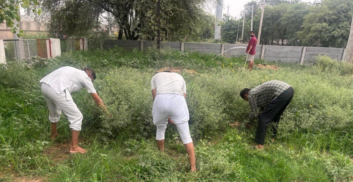 Best24News: रेवाड़ी न्यूज़ | Haryana News | हर खबर सबसे तेज़ 22 धारूहेड़ा: मंदिर कमेटी के लोग पार्क की सफाई करते हुए