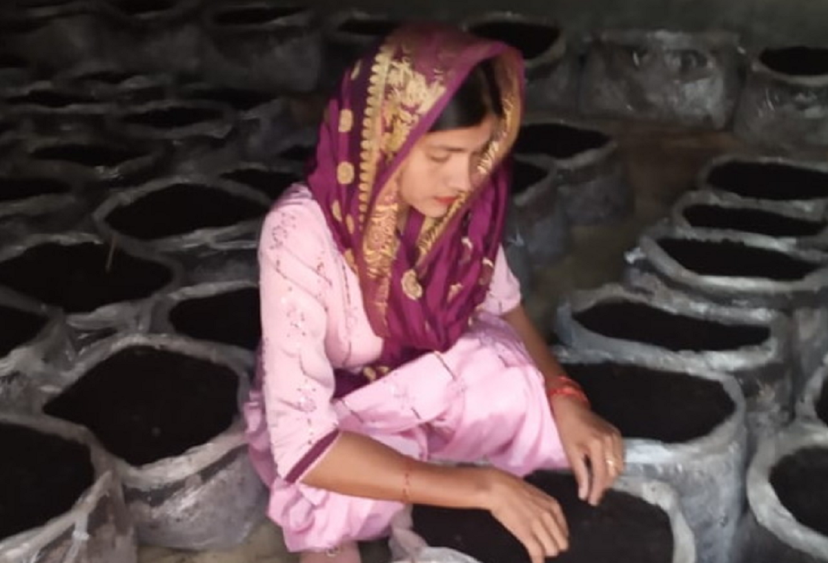 कभी मिलते थे ताने, इस ​महिला ने जैविक खेती में बनाई नई पहचान