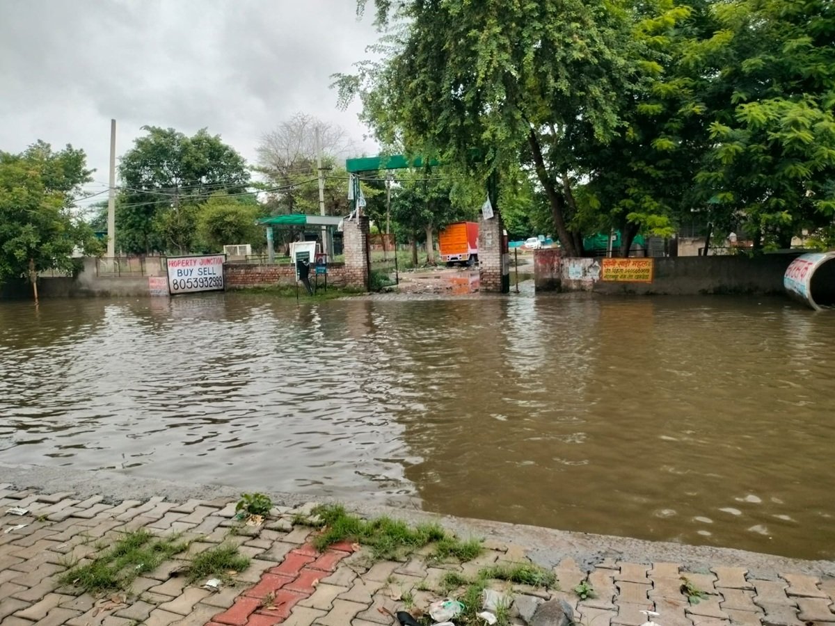 धारूहेड़ा: सेक्टर चार में जमा काला पानी