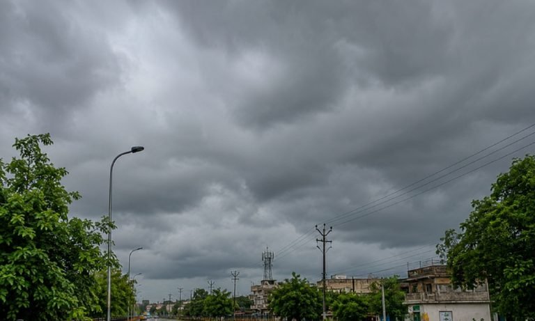 हरियाणा में सुस्त पड़ी मानसून की रफ्तार, 3 दिनों तक उमस करेगी परेशान, जाने ताजा वेदर अपडेट