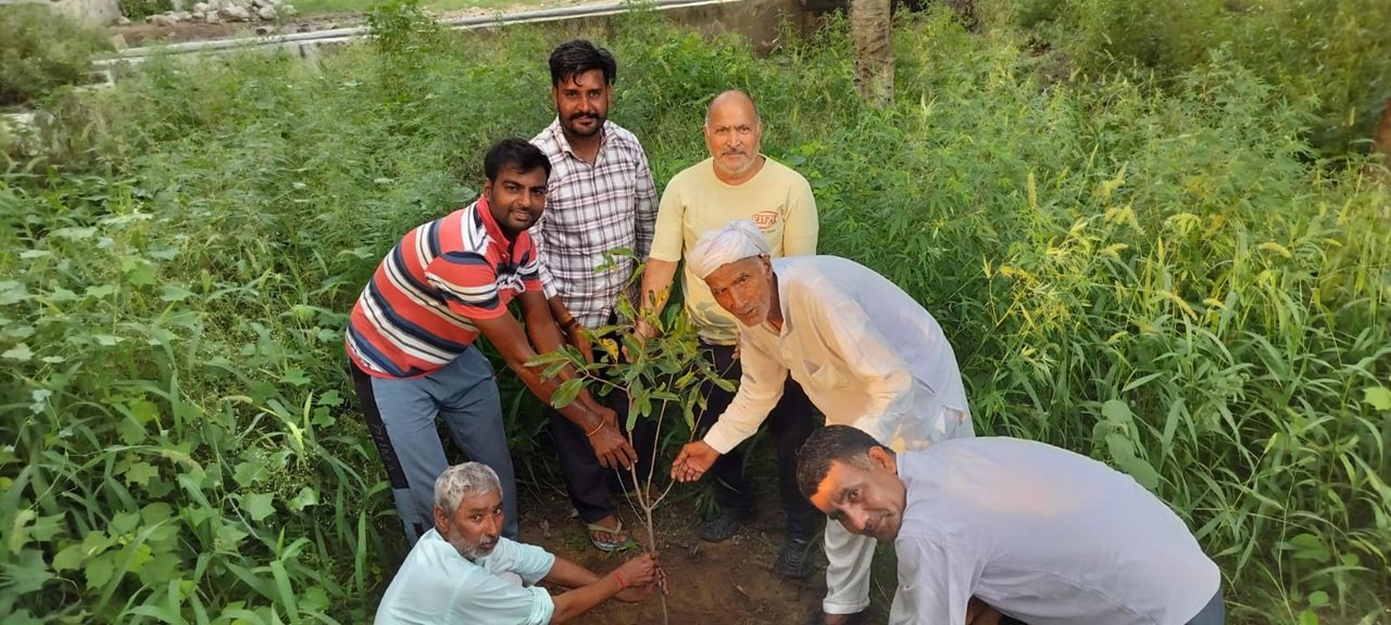 तीज पर्व पर डूंगरवास में किया पौधारोपण