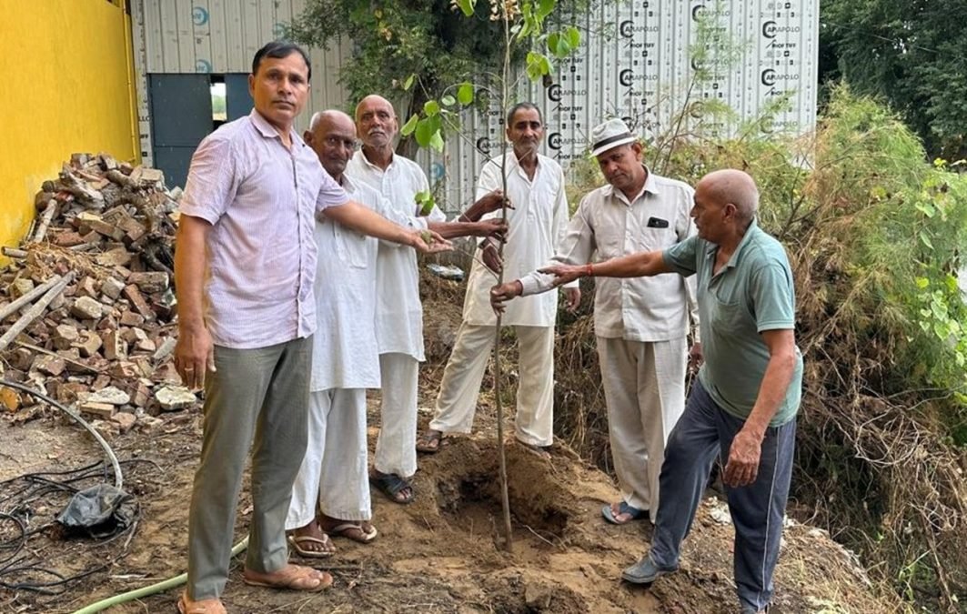 धारूहेड़ा: प्राचीन बाबा लालू देवता मंदिर प्रांगण में किया पौधारोपण