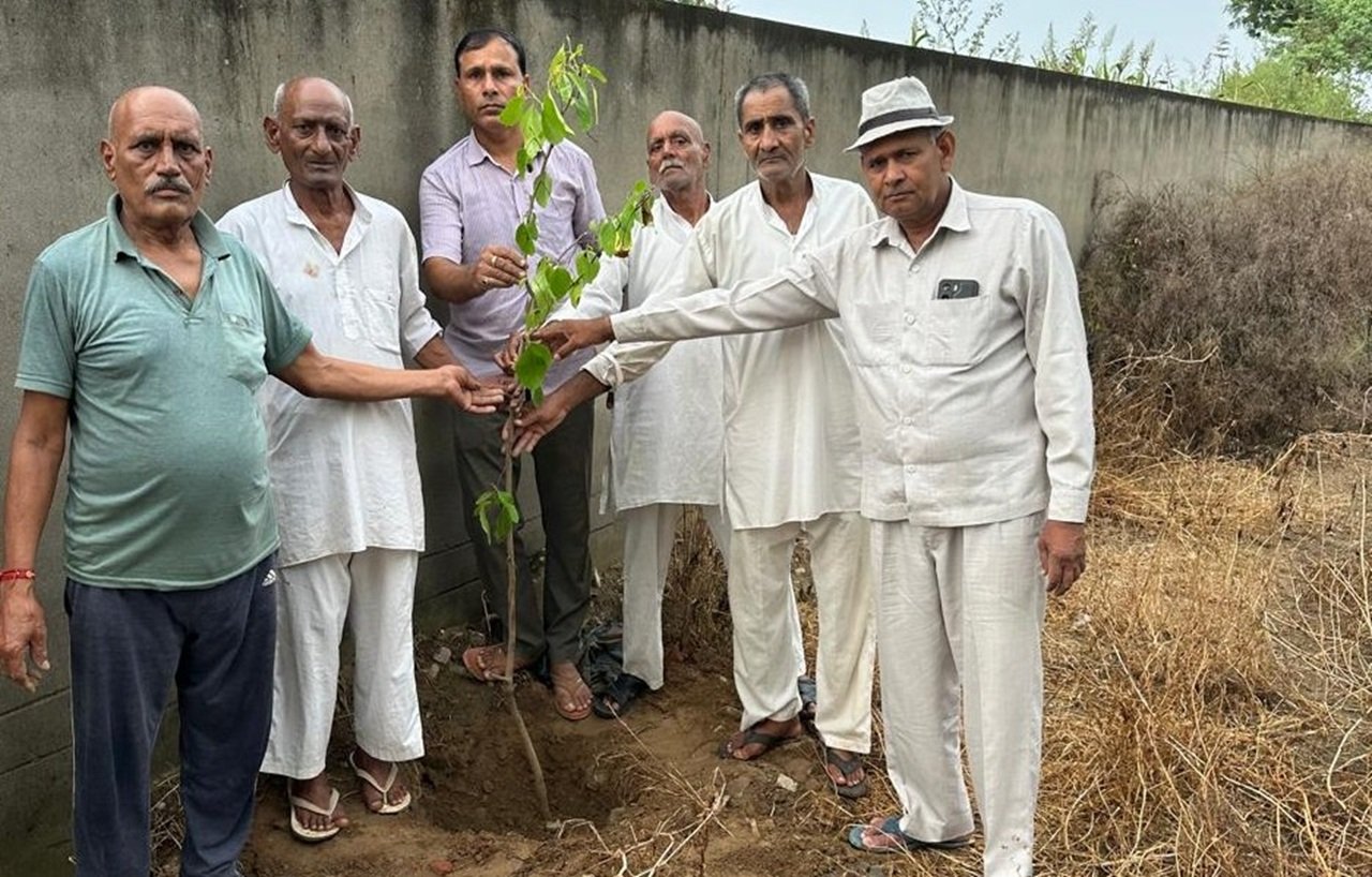 धारूहेड़ा: प्राचीन बाबा लालू देवता मंदिर प्रांगण में किया पौधारोपण