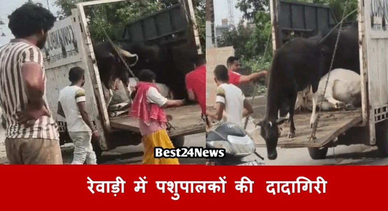 रेवाड़ी में पशु पकडने वाली एजेंसी से पकडी गई गायो केा जबरदस्ती छुडवाते हुए पशु पालक