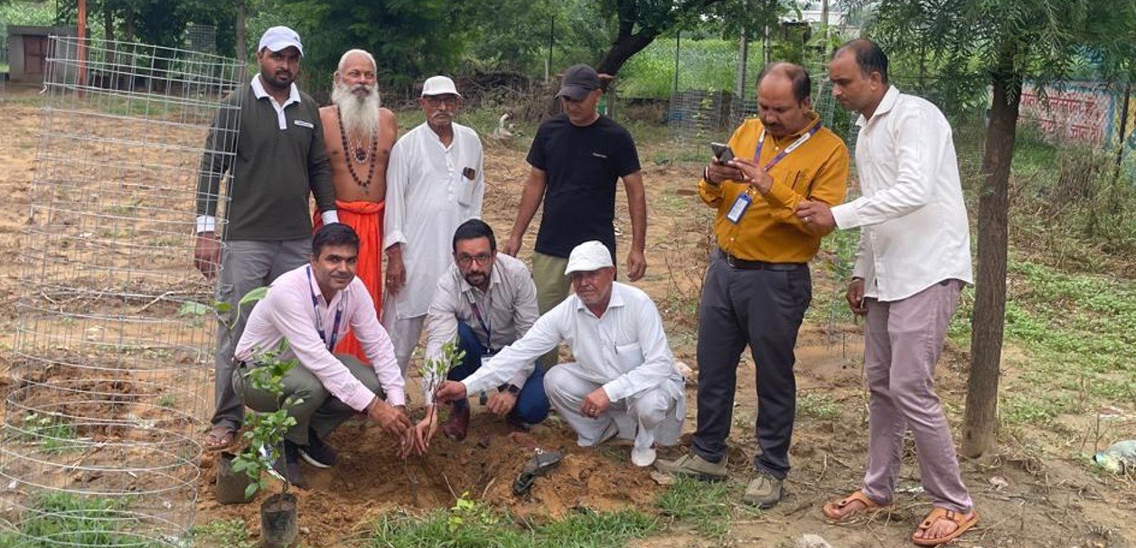 बाल्धन खुर्द में हरियाली का महाअभियान: एसबीआई जाटूसाना शाखा ने लगाए 1400 पौधे