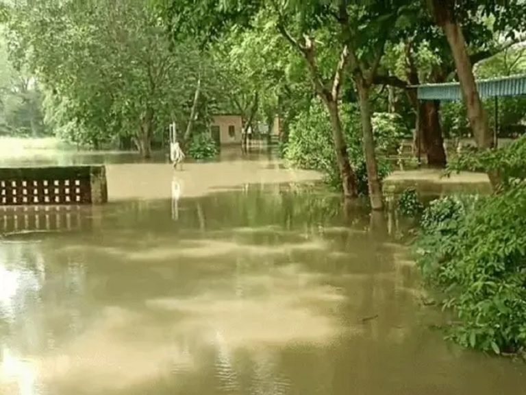 जोहड का पानी बोडिया कमालपुर स्कूल में घुसा, आवागमन ठप