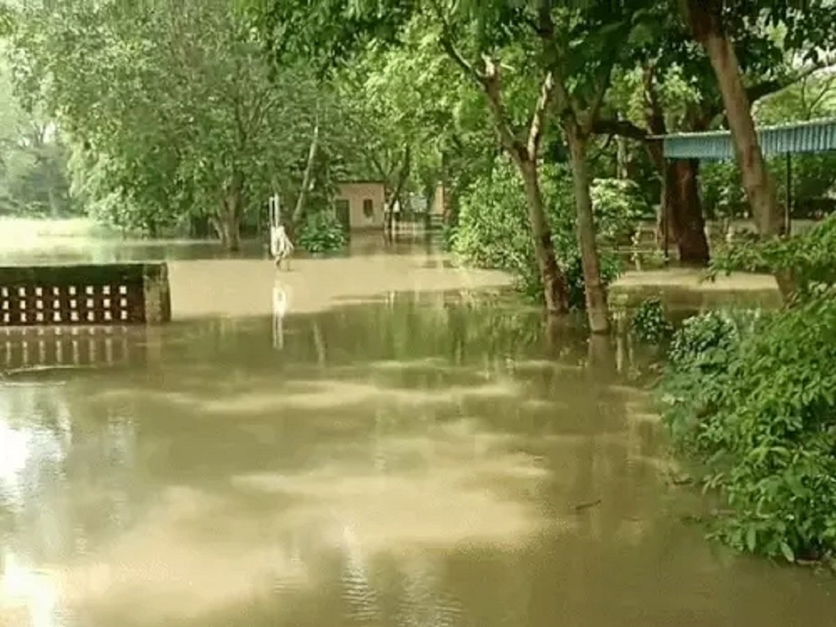 जोहड का पानी बोडिया कमालपुर स्कूल में घुसा, आवागमन ठप