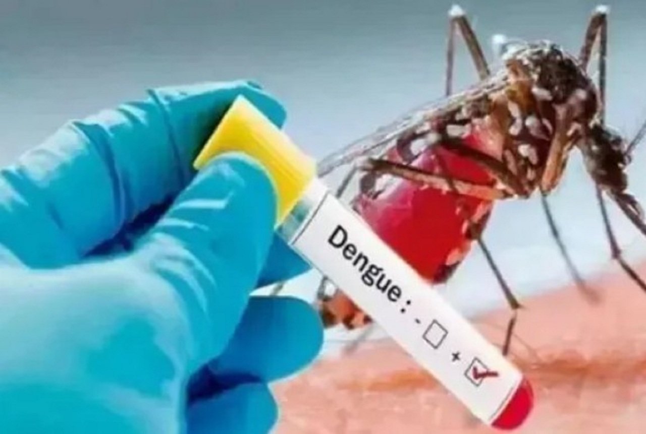 रेवाड़ी में स्वाइन फ्लू व डेंगू के मरीजों ने स्वास्थ्य विभाग की उडाई नींद