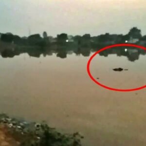 2 दिन से लापता युवक का शव बेरली कलां के जोहड़ से मिला