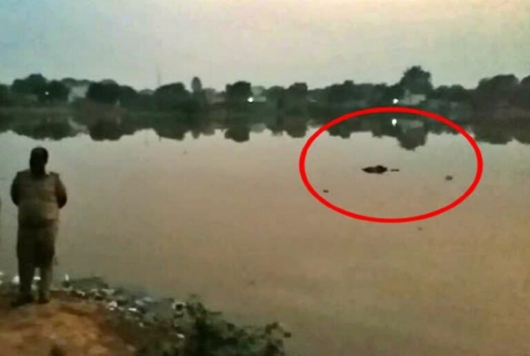 2 दिन से लापता युवक का शव बेरली कलां के जोहड़ से मिला